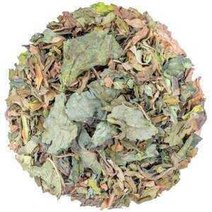 Organic Spearmint Tea