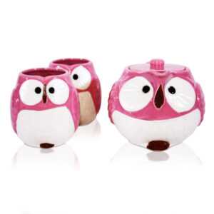 Cute Lucky Pink Owl Set